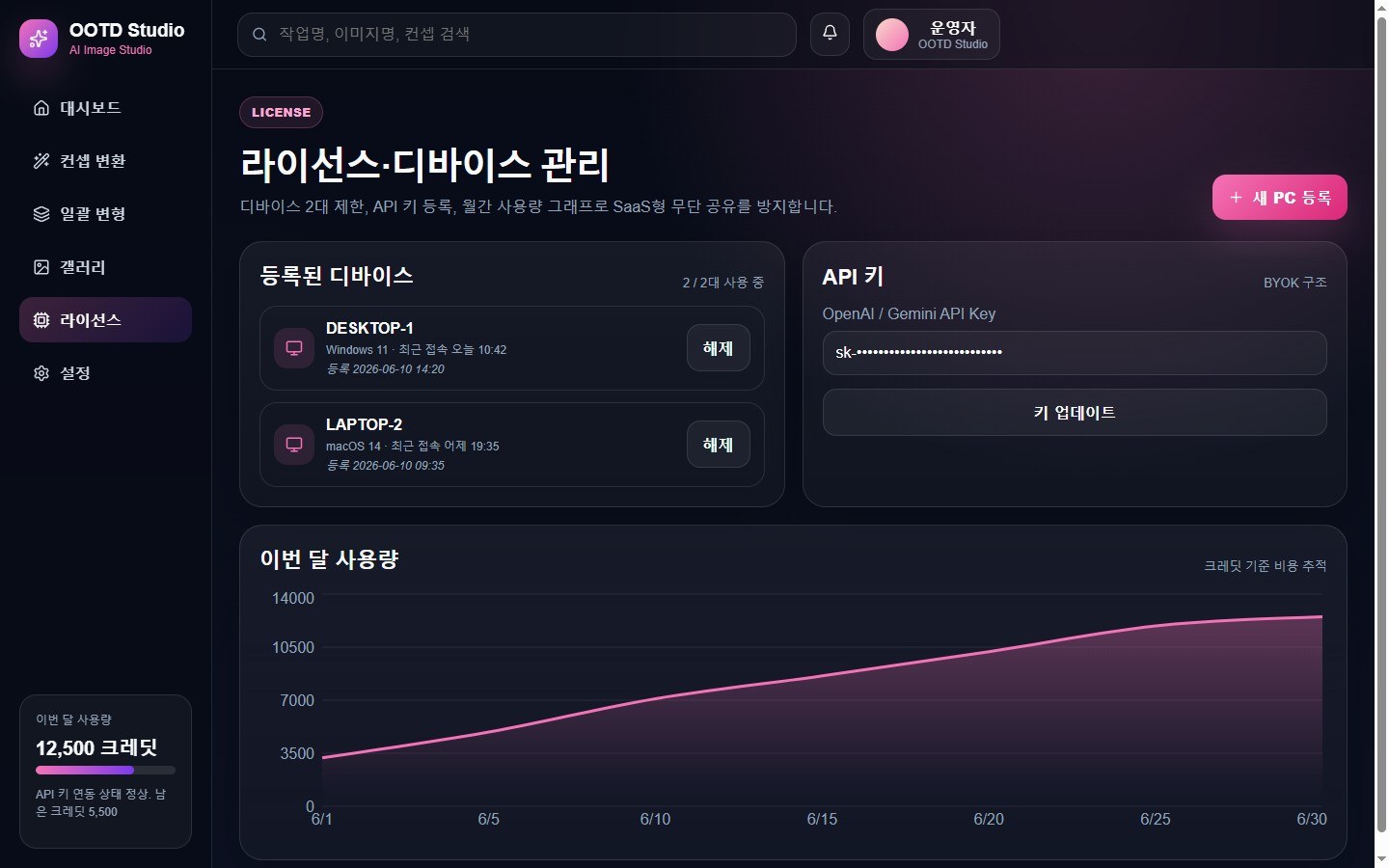 라이선스·디바이스 관리 — 등록된 컴퓨터 2대 표시, API 키 등록, 사용량 그래프